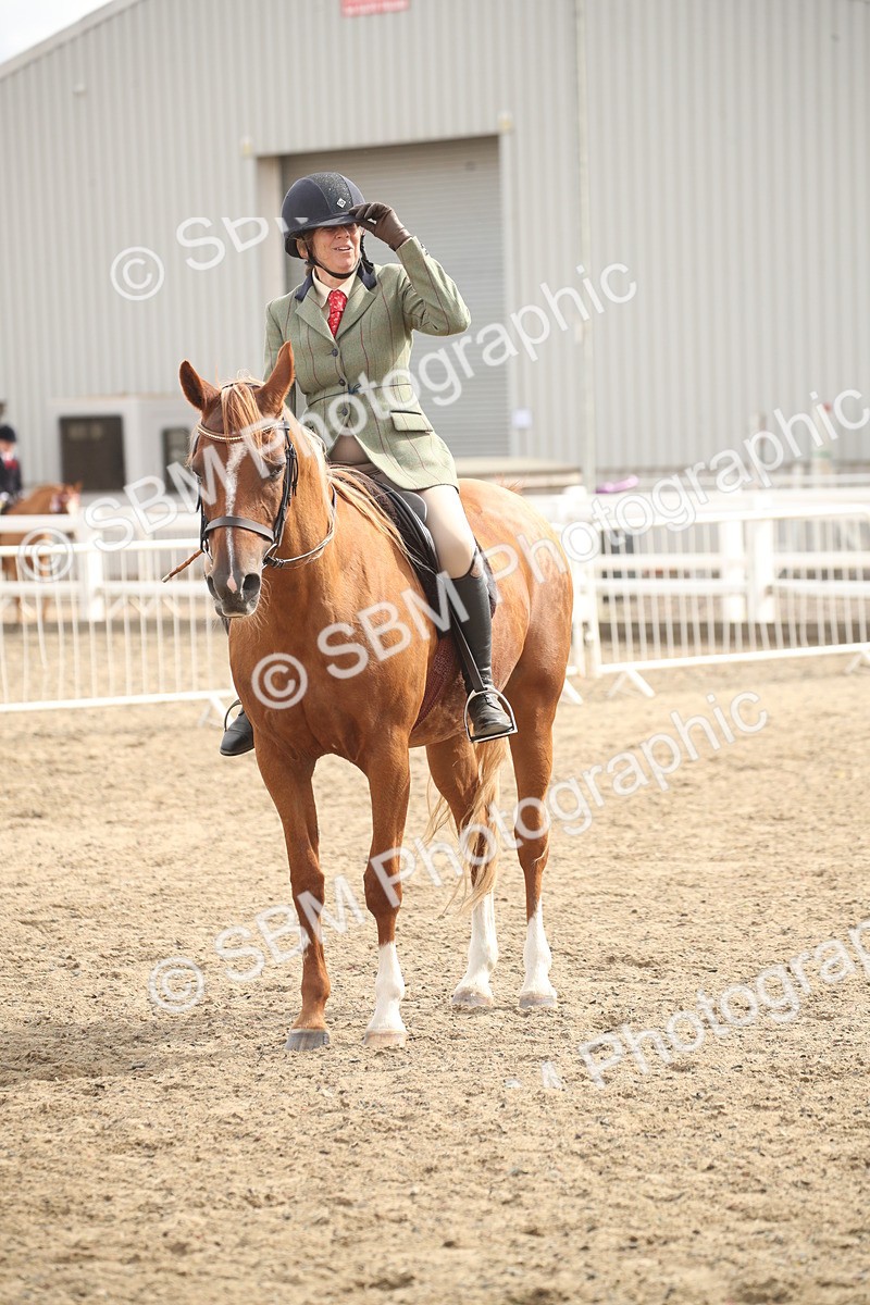 SBM_17857 - Class 508b - Working Veteran 70cm (20+)