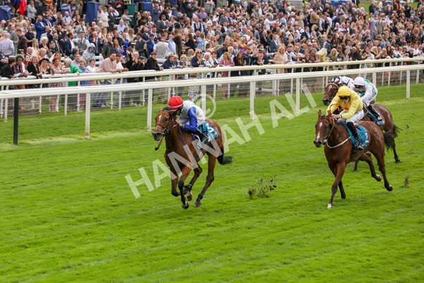 230923-Race 1-Invincible Molly-5187 - Race 1 2.00pm Jigsaw Sports Branding EBF Fillies' Novice Stakes