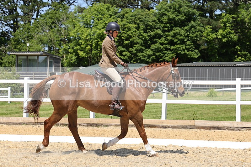 1X9A1817 - Class 12: Ridden Riding Horse/Hack