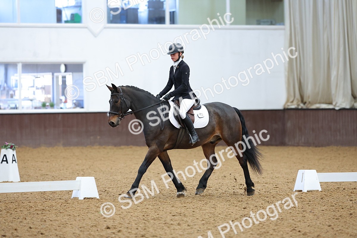 SBM_002719 - Novice