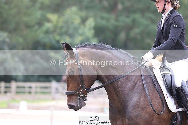 230812-094819-03024 - Cls 5 Novice Bronze Start to 10.55 break