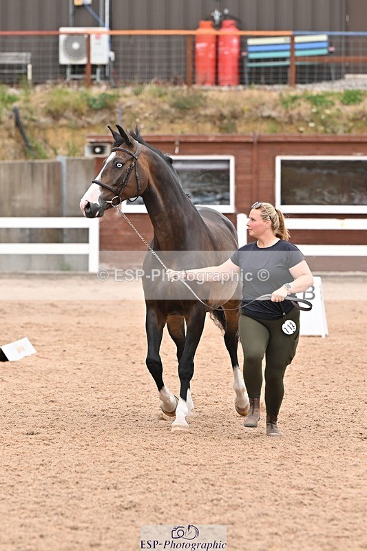 250716-144725-01396 - Trot Up 2.30 to 3.30