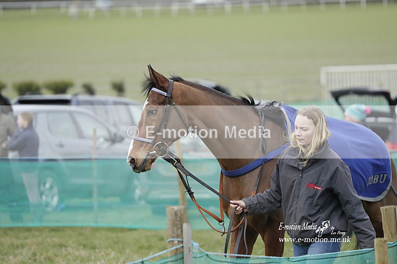 PtP 250223 096 - Kimblewick Hunt Point-to-Point Kingston Blount 25/02/23