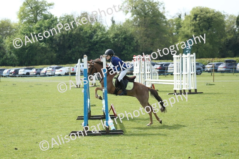 20260426-1569 - Class 14 - Novice 60cm