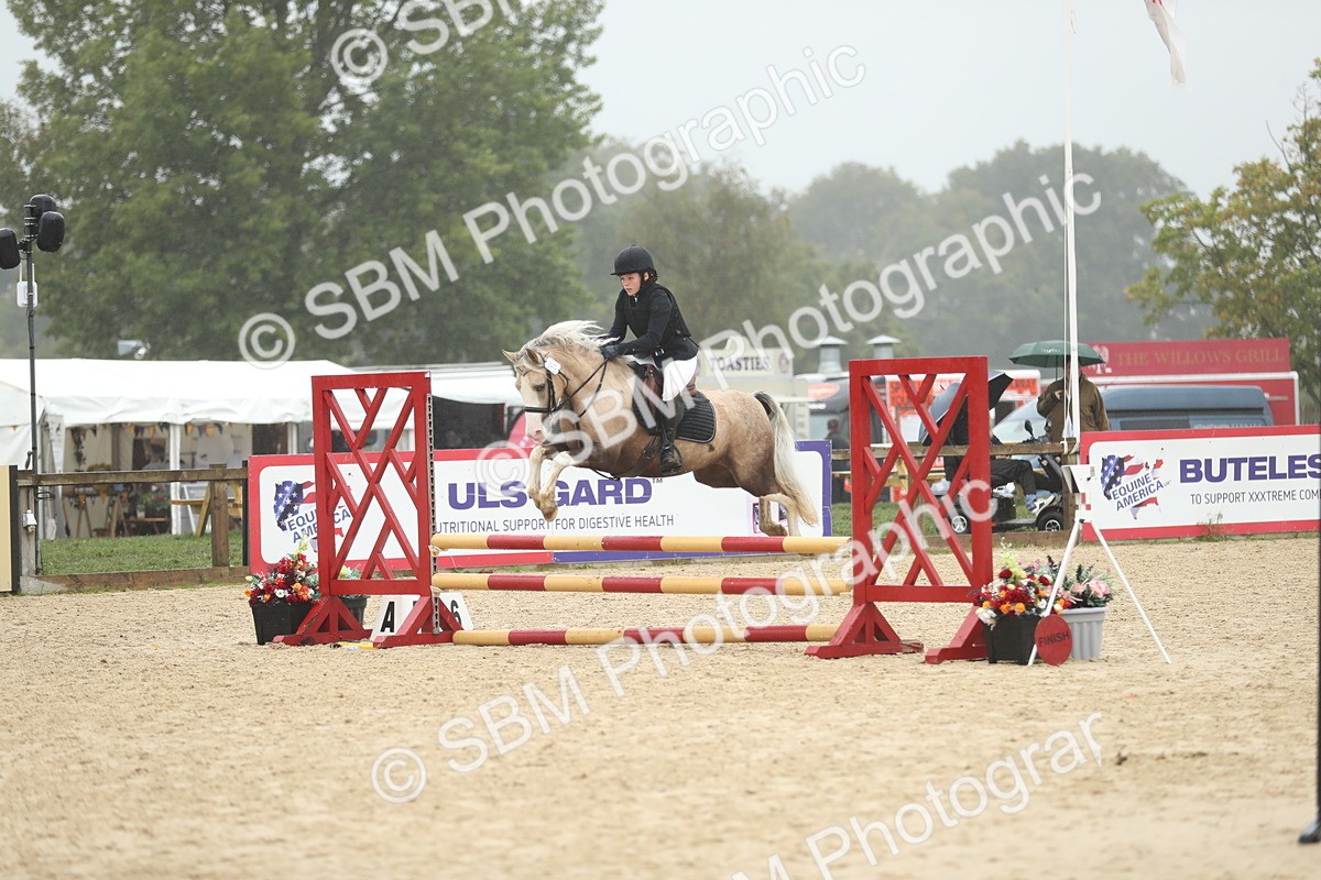 SBM_73823 - J16 - Junior Pony 75cm Championship