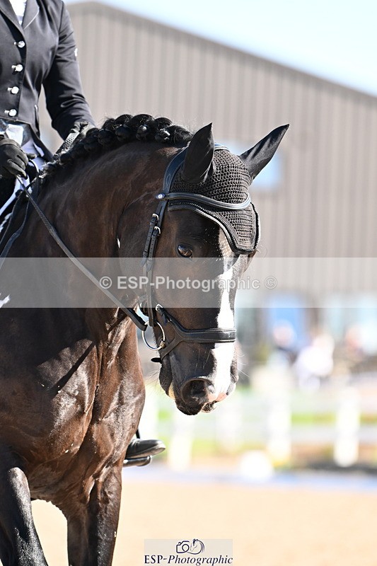 240816A-101851-03806 - 148-Donna.Willis-Cerrighedd.Yago