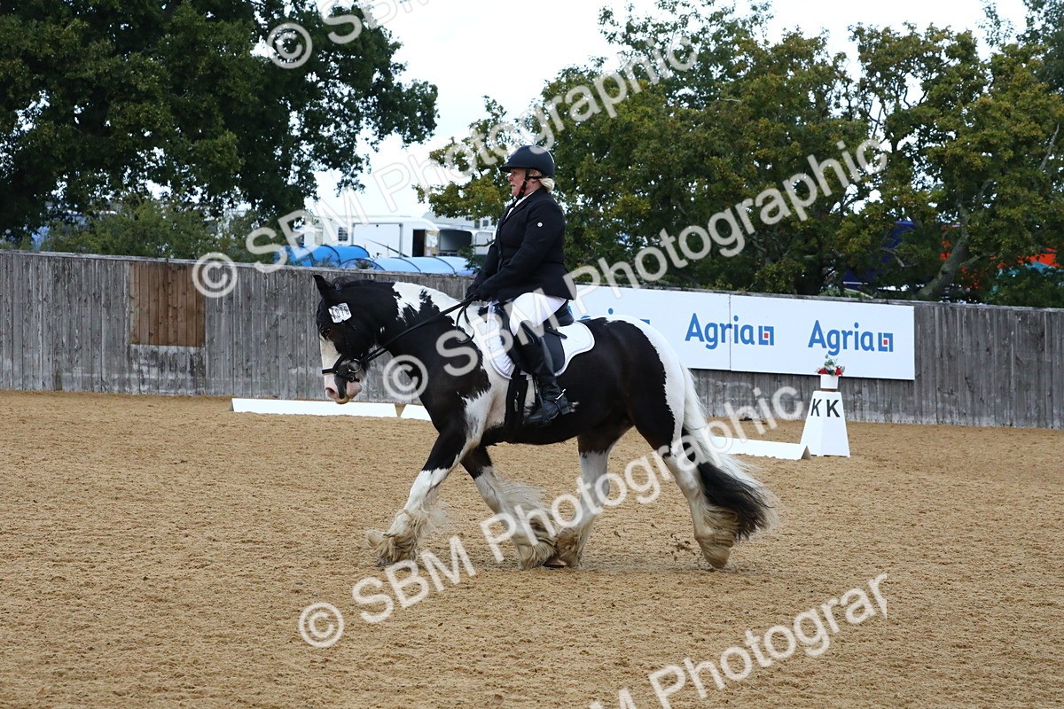 SBM_21035 - D5 - Small Tour Championshop Intro 2