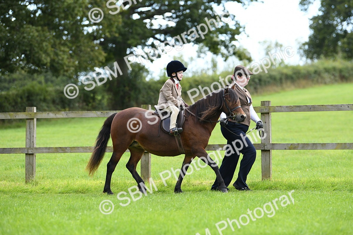 SBM_42449 - S20 - Lead Rein Mountain & Moorland Pony