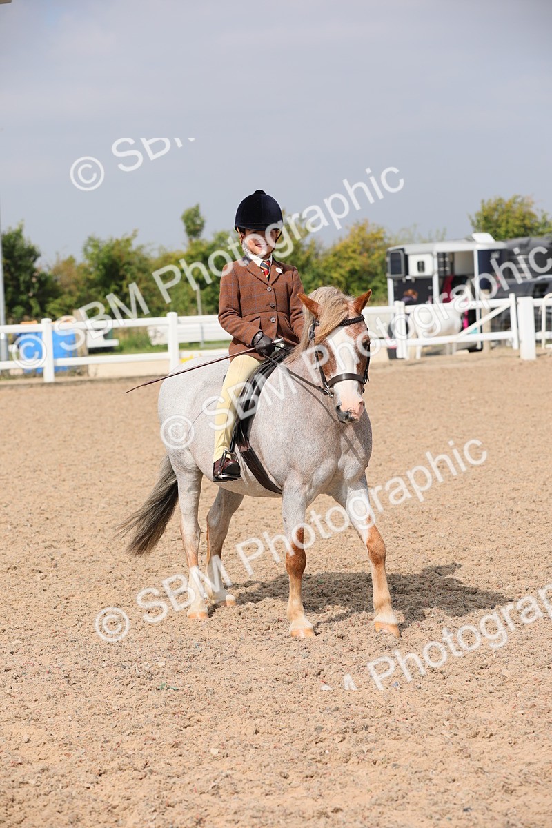 SBM_12828 - Class 307 Ridden Coloured Pony
