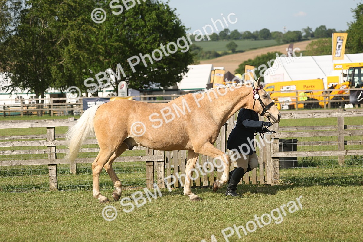 SBM_10462 - Class 33-38 - SSADL RIHS Qualifiers