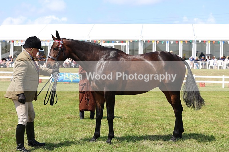 3E7A1169 - Class 8: Open Riding Horse/Hack