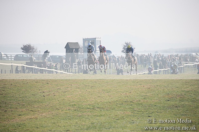 PtP 230219 243 - Vine & Craven Point-To-Point - Barbury 23/02/19