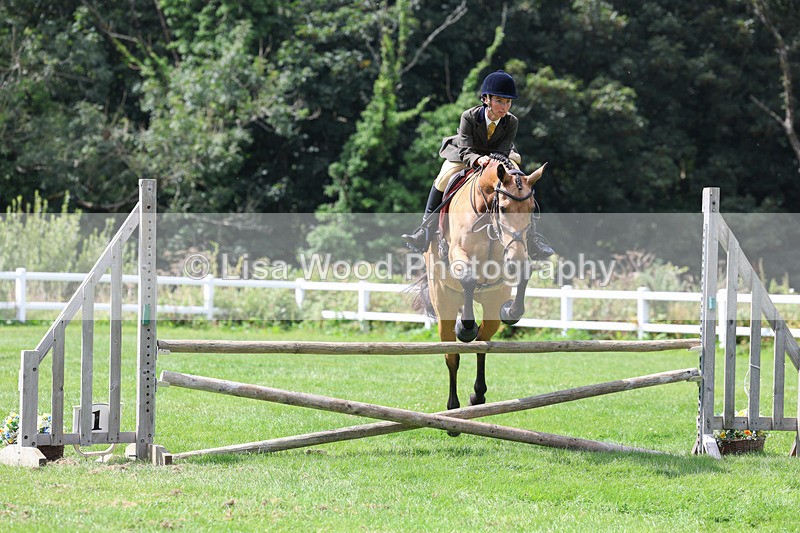 3E7A8878 - Class 6: Open Working Horse