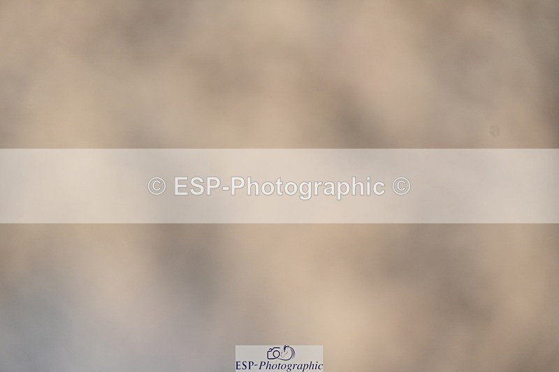 240323A-094419-01285 - DR Intro B