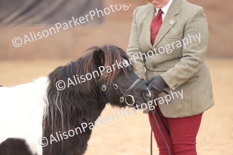 20251109-0395 - Class 15 - Coloureds