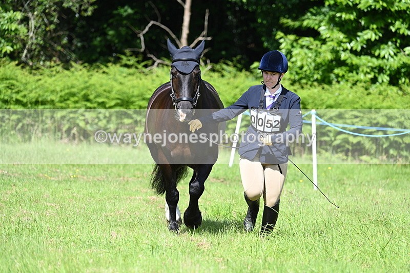 WJ7_1130 - Class 11 Condition & Turnout