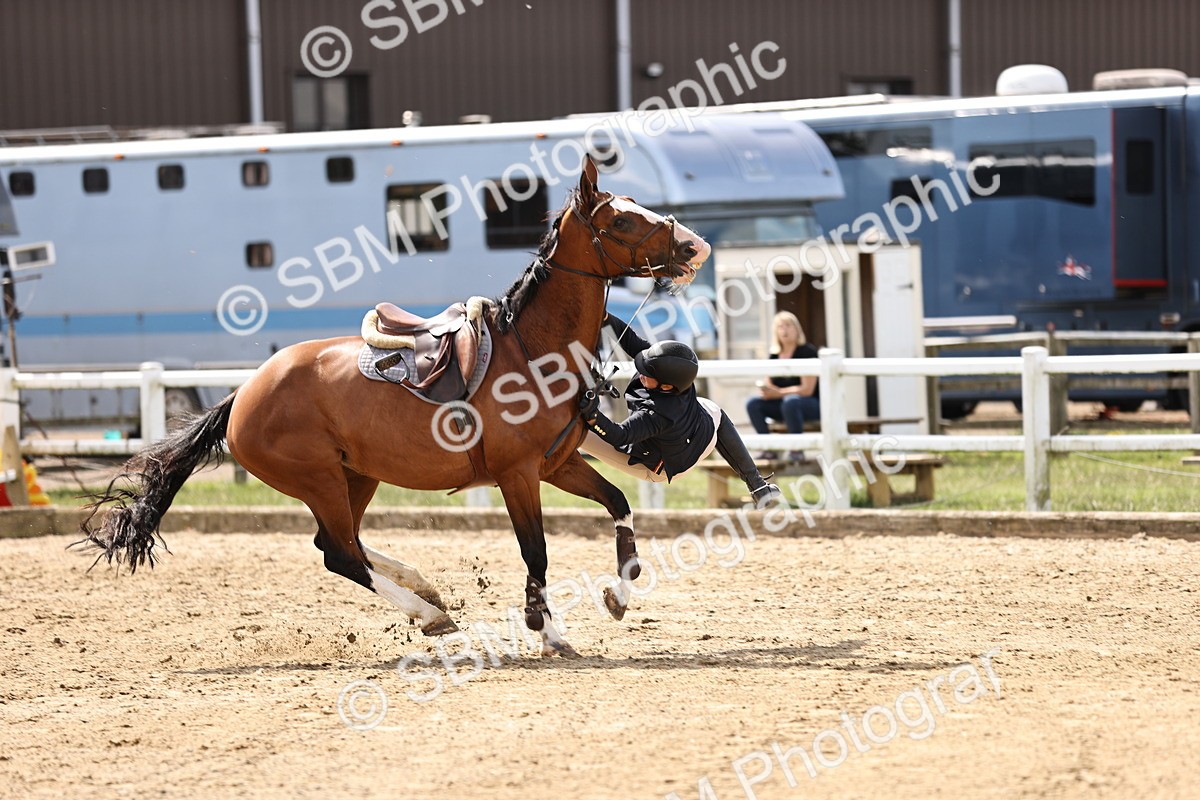SBM_002037 - Class 9 - Senior British Novice - 90cm