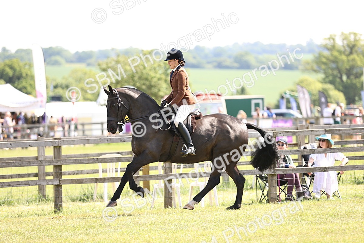 SBM_13742 - Class 77 - LIHS BSHA Rising Star Cobs