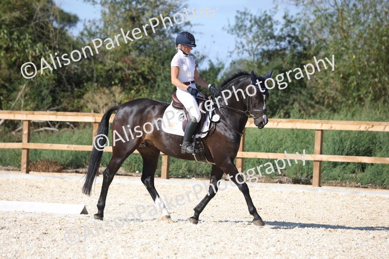 20260905-1637 - Class 5 - Novice 2