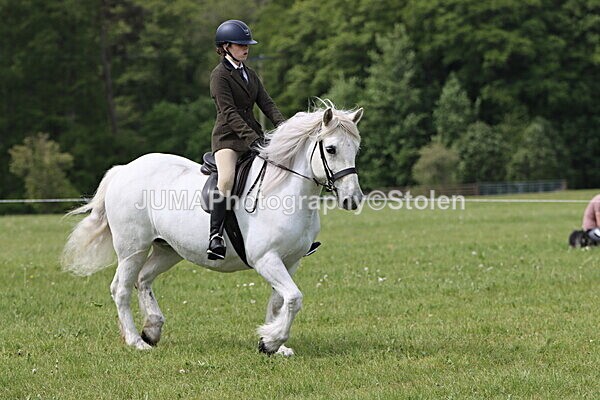IMG_2693 - Working Hunter