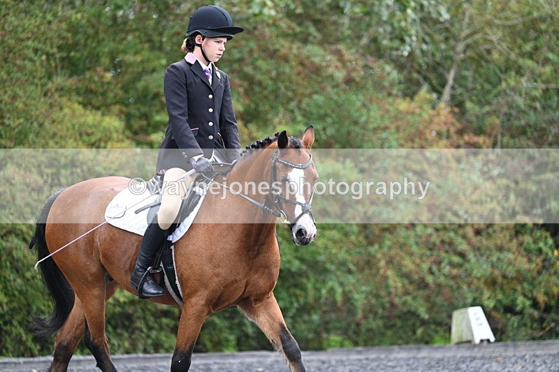 WJ7_3982 - Time 11:04 to 11:38