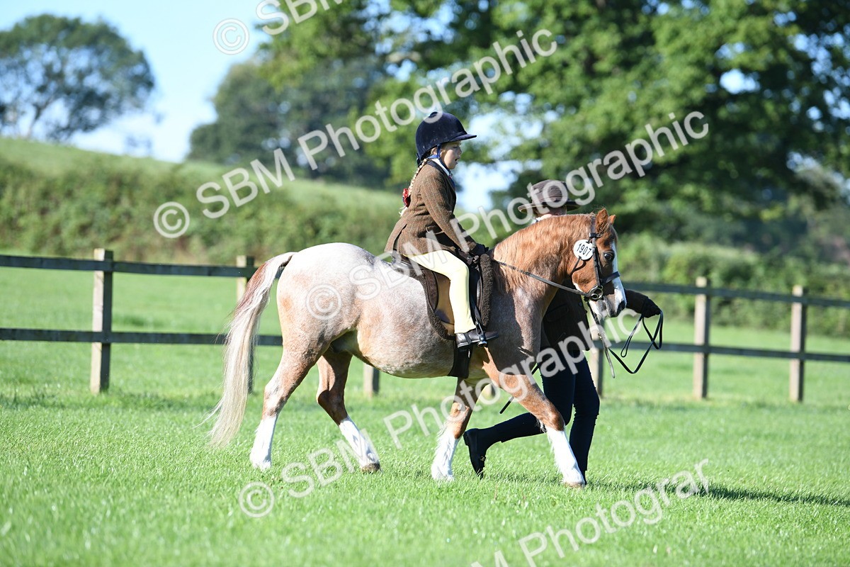 SBM_35328 - S17 - Condition & Turnout - Lead Rein