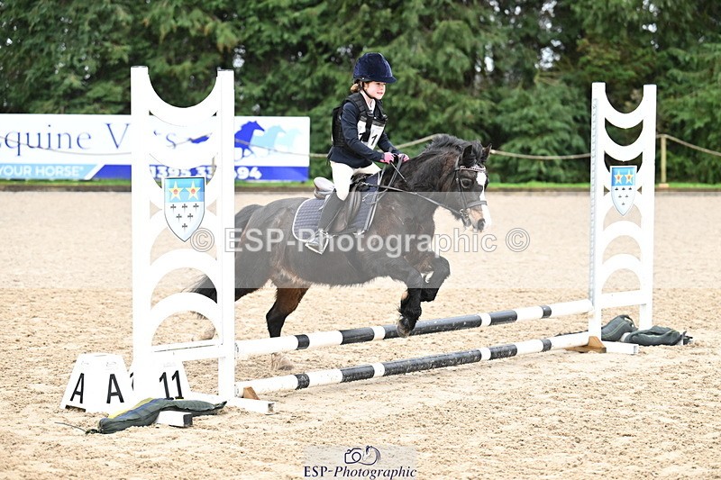 260222A-094036-00187 - 40cm Lead Rein and Assisted