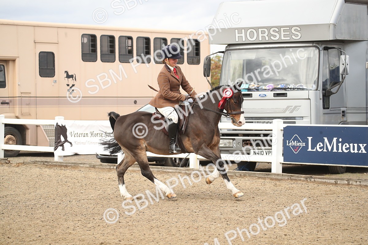 SBM_16576 - Class 506b - Working Veteran - 50cm (20+)