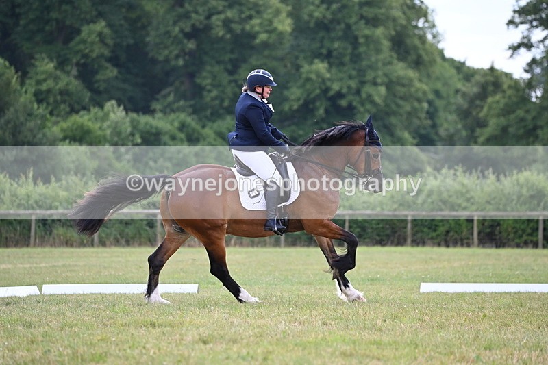 WJ6_6758 - Time 11:48 to 12:22