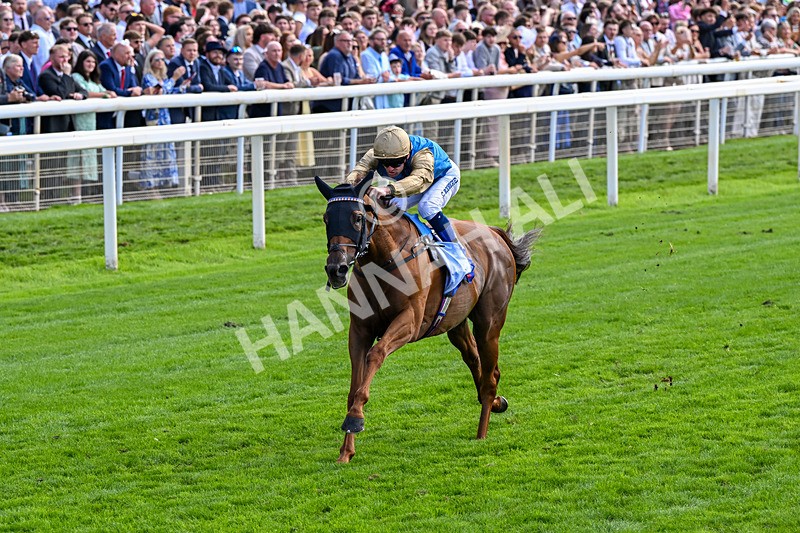 220826-Race 1-Archivist-0231 - Race 1 13.50pm Sky Bet Strensall Stakes