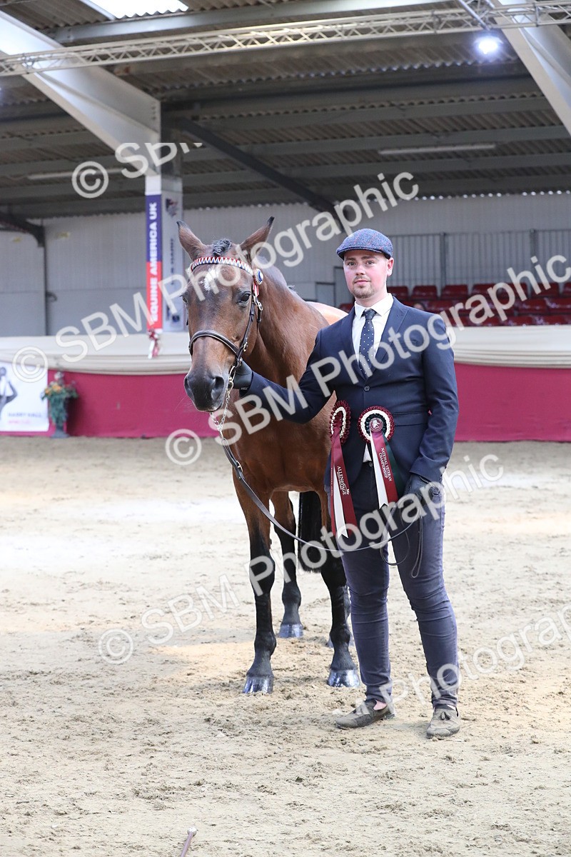 SBM_04480 - Class 7R Regional - IH Diamond