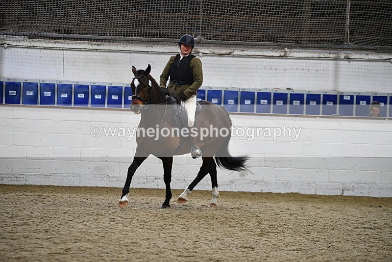 WJ5_7952 - Class 13 Ridden Part Breed