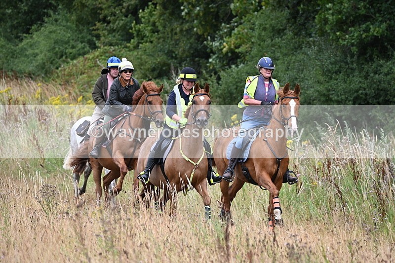 WJ6_2326 - Group 7