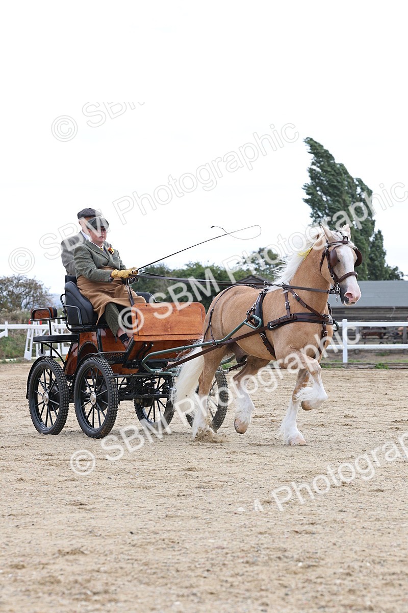 SBM_000768 - Class 6 - Exercise Vehicle 13.2 and over