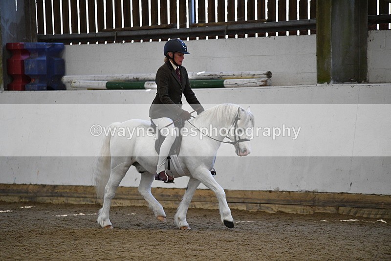 WJ5_5956 - Class 9 Ridden Veteran