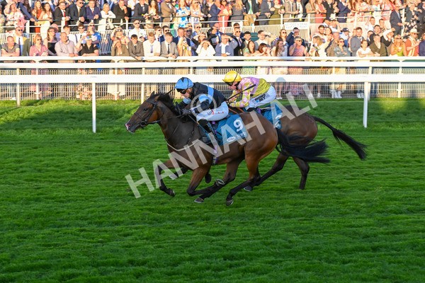 260724-Race 6-Duran-5543 - Race 6 8.20pm Sky Bet Go-Racing-In-Yorkshire Summer Festival Handicap