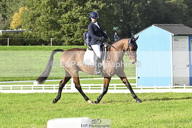 251023A-150804-04522 - E-386-Zara.Head