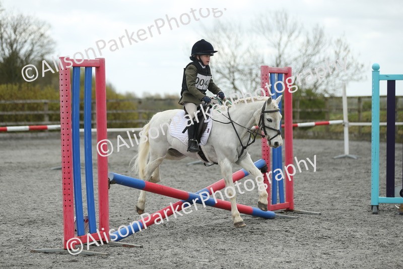 20260412-0656 - Show Jumping