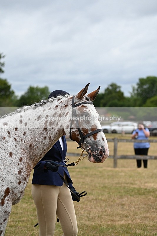 WJ6_4275 - Class 10 Coloured In-hand