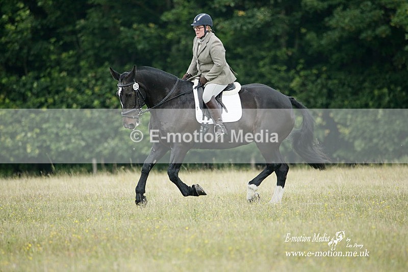 BVRC 030721 38 - Bourne Valley Riding Club Dressage 03/07/21