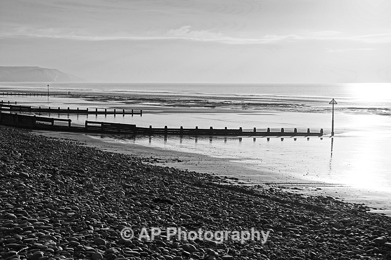 ACP06514-1 - Ynyslas