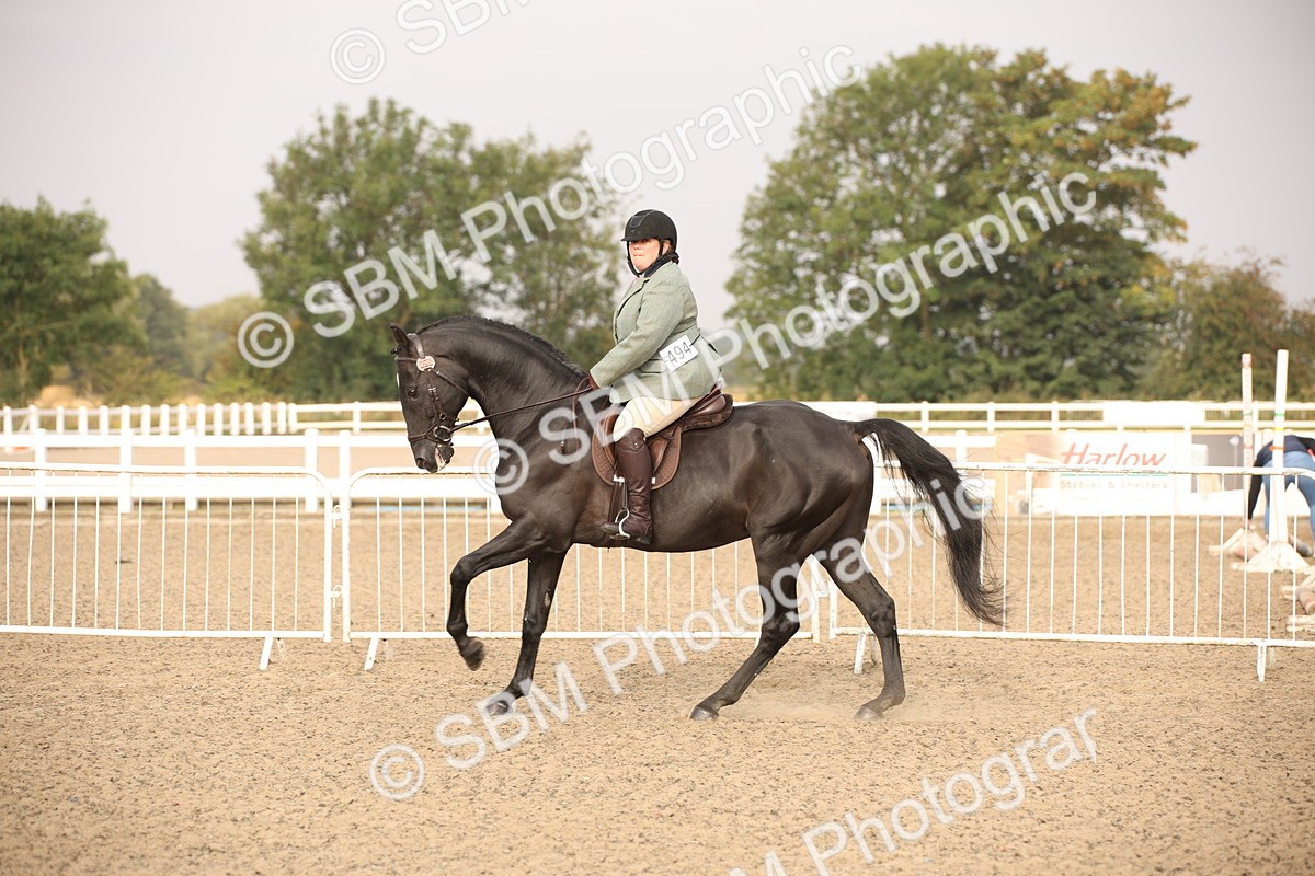 SBM_10222 - Class 402 Riding Club Horse