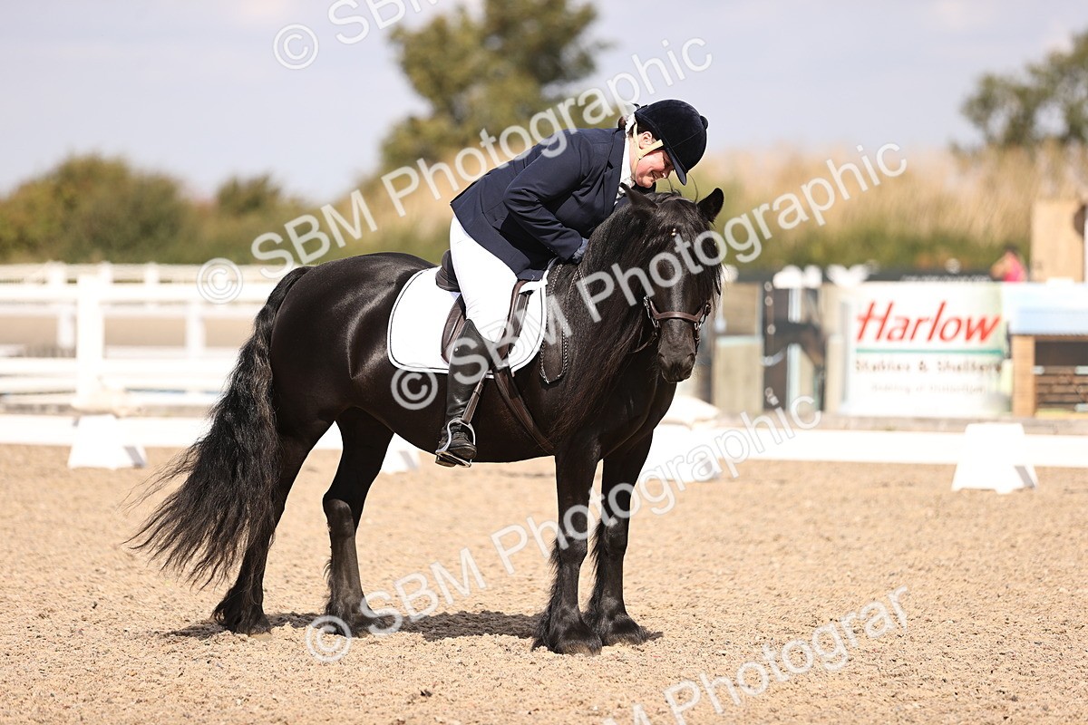 SBM_03701 - CLass 35 Intro 3