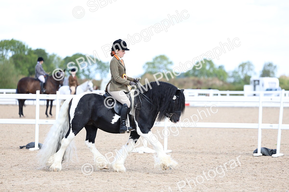 SBM_11487 - Class 307 - Ridden Coloured Pony