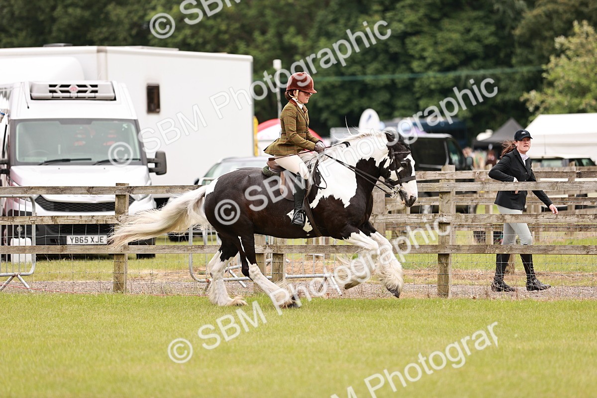 SBM_06213 - Class 39-41 TGCA In Hand and Ridden