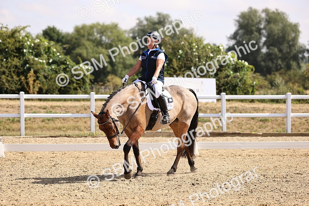 SBM_006525 - Intro 3 - 9.46-10.46