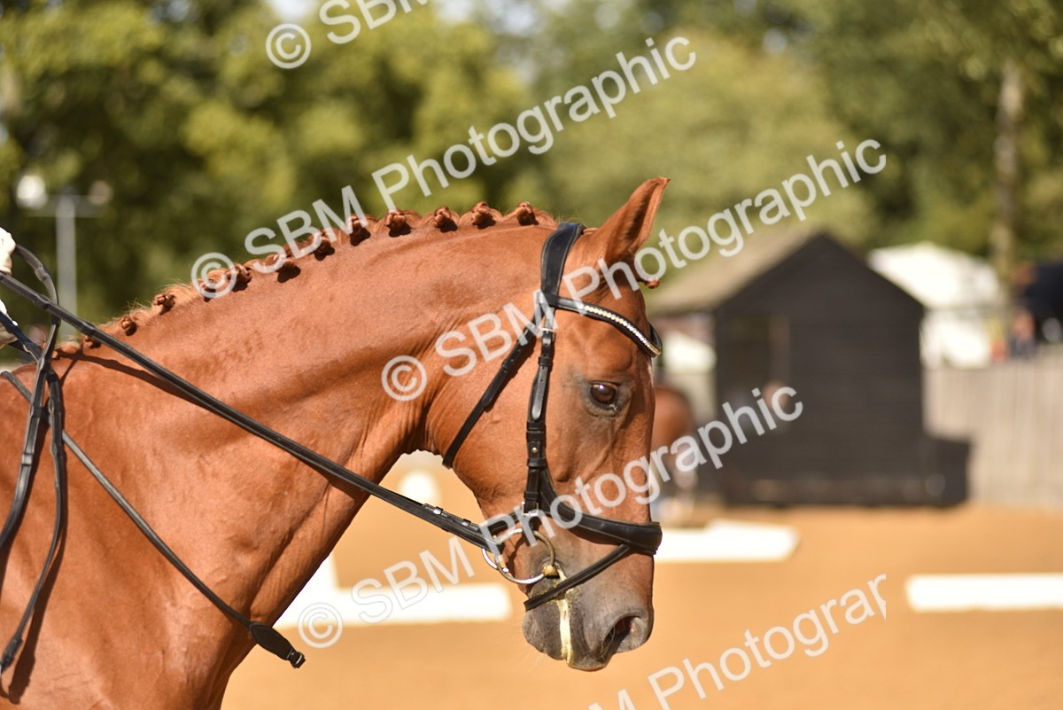 SBM_10184 - D15 - Small Tour Championship Novice 1