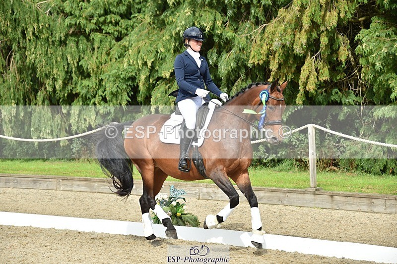 230812-160932-05442 - Novice Bronze Presentations