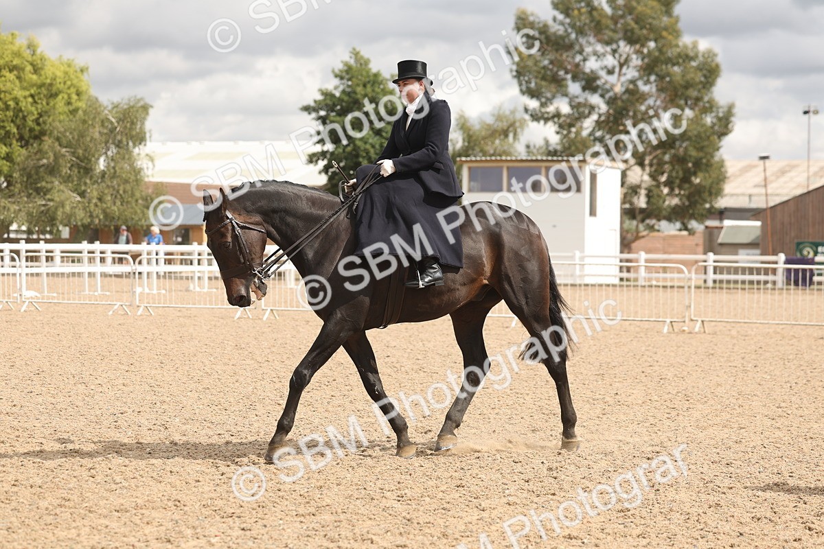 SBM_06349 - Class 22 - SSA - Equitation