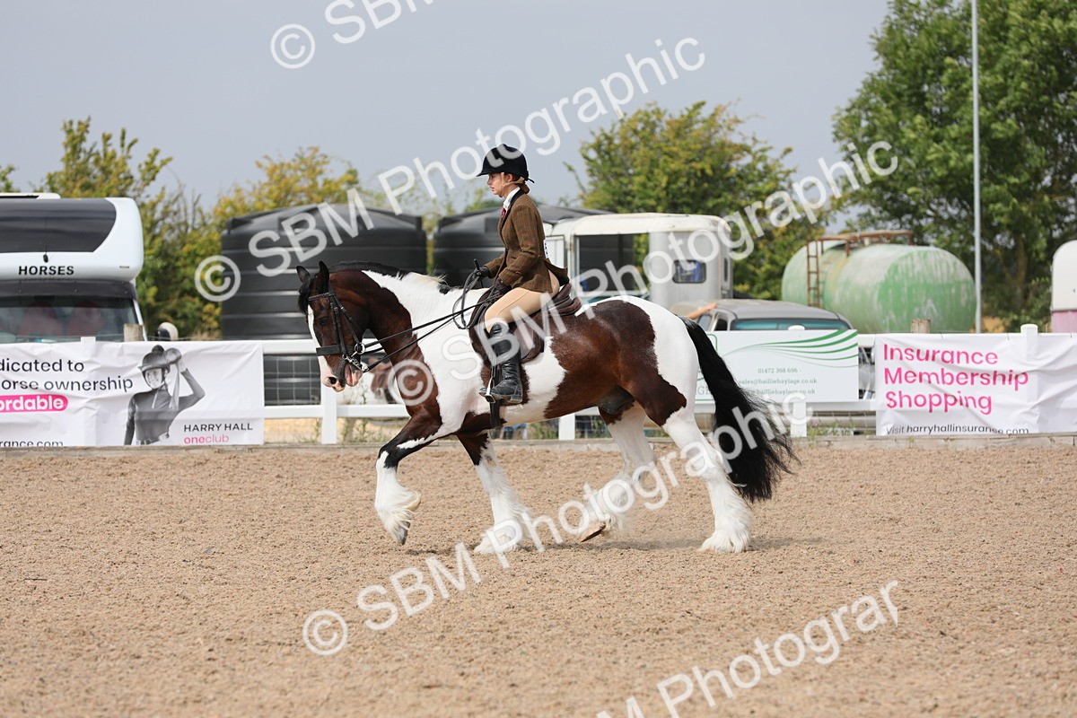 SBM_13361 - Class 308 Ridden Coloured Horse